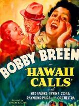 Превью постера #99324 к фильму "Гавайи зовут" (1938)