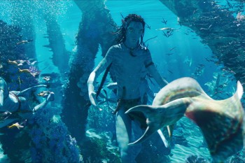Премьеру фильма "Аватар 2: Путь воды" раскритиковали из-за трюков с дельфинами