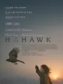 Постер к фильму Я - значит Ястреб / H Is for Hawk (2025)