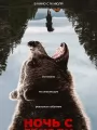 Постер к фильму Ночь с гризли / Grizzly Night (2026)