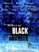 Превью постера #20214 к фильму "Черное и белое" (1999)
