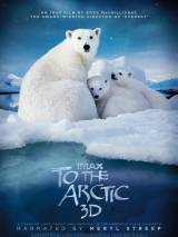 Превью постера #22754 к фильму "Арктика 3D" (2012)