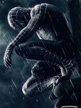 Превью постера #3903 к фильму "Человек-паук 3: Враг в отражении"  (2007)