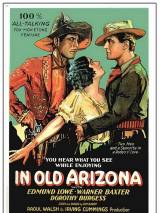 Превью постера #58449 к фильму "В старой Аризоне" (1928)