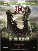 Превью постера #65659 к фильму "Крокодил" (2007)