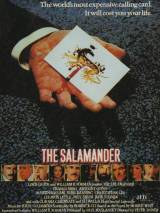 Превью постера #80429 к фильму "Саламандра" (1981)