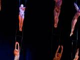 Превью кадра #48248 из фильма "Cirque du Soleil: Сказочный мир в 3D"  (2012)