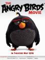 Постер к мультфильму "Angry Birds в кино"