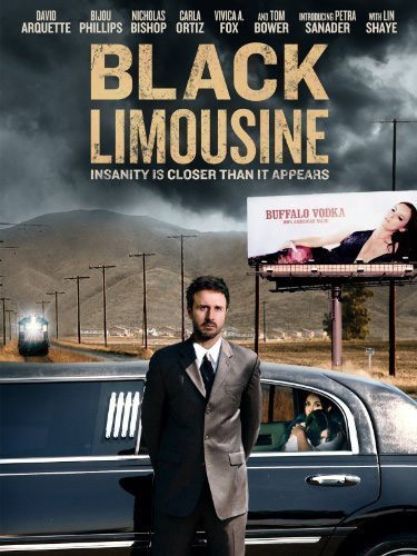 Земля астронавтов / Black Limousine (2010) отзывы. Рецензии. Новости кино. Актеры фильма Земля астронавтов. Отзывы о фильме Земля астронавтов