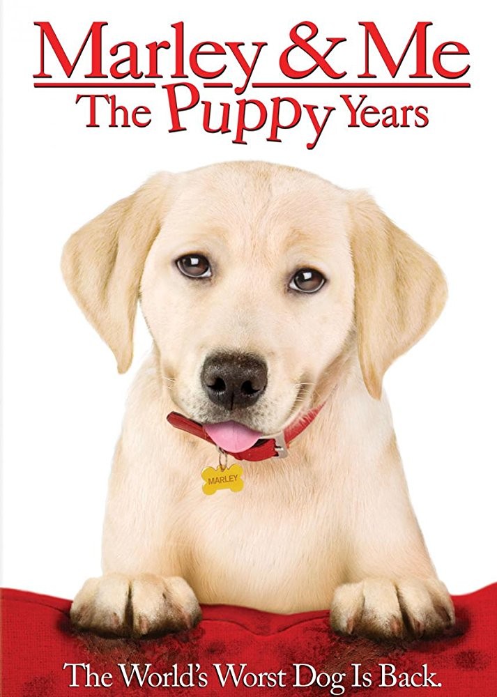 Марли и я 2 / Marley & Me: The Puppy Years (2011) отзывы. Рецензии. Новости кино. Актеры фильма Марли и я 2. Отзывы о фильме Марли и я 2