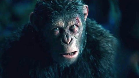 Трейлер №2 фильма "Война планеты обезьян"