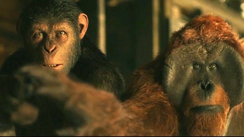 Финальный трейлер фильма "Планета обезьян: Война"