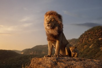 Сборы "Короля льва" превысили 500 миллионов долларов