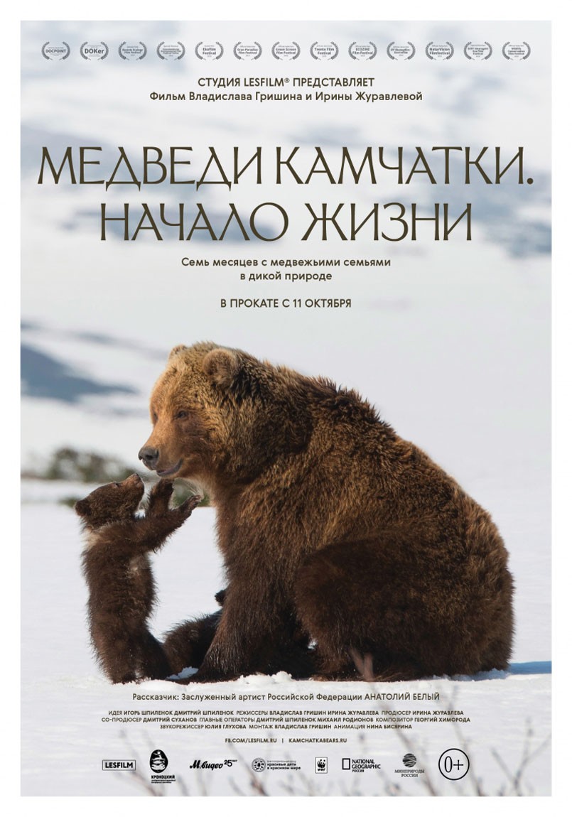 Медведи Камчатки. Начало жизни: постер N152882