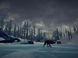 Превью скриншота #206332 из игры "The Long Dark"  (2014)