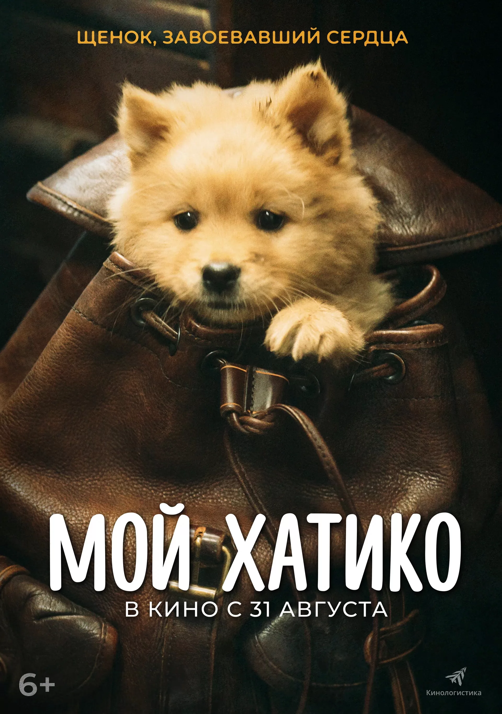 Мой Хатико / Hachiko (2023) отзывы. Рецензии. Новости кино. Актеры фильма Мой Хатико. Отзывы о фильме Мой Хатико