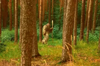 Александр Яценко сыграет в мистической сказке о владыке леса