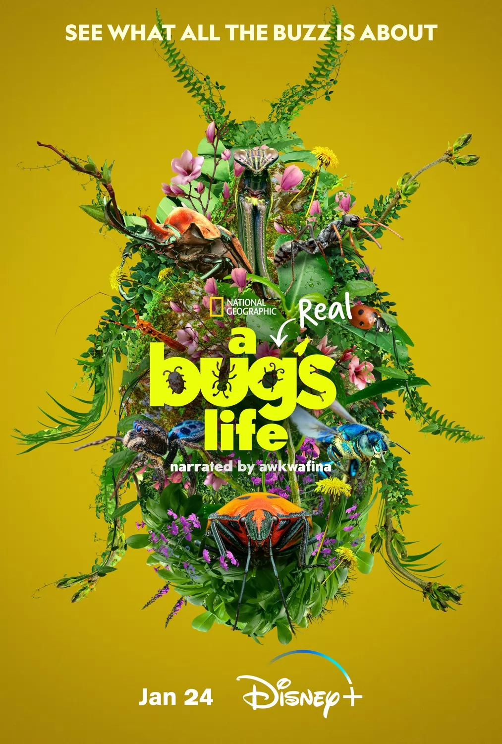 Настоящая жизнь жука / A Real Bug`s Life
