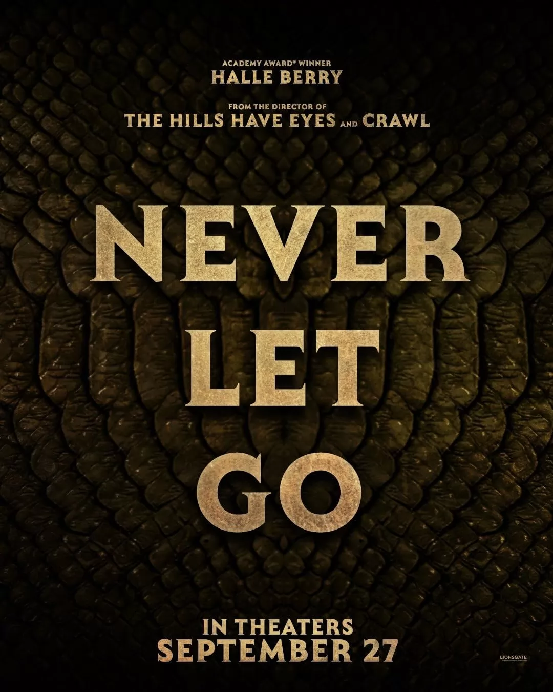 🎬 Фильм Никогда не отпускай (2024) - Never Let Go - полная информация о  фильме, режиссер: Александр Ажа