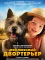 Мой любимый двортерьер