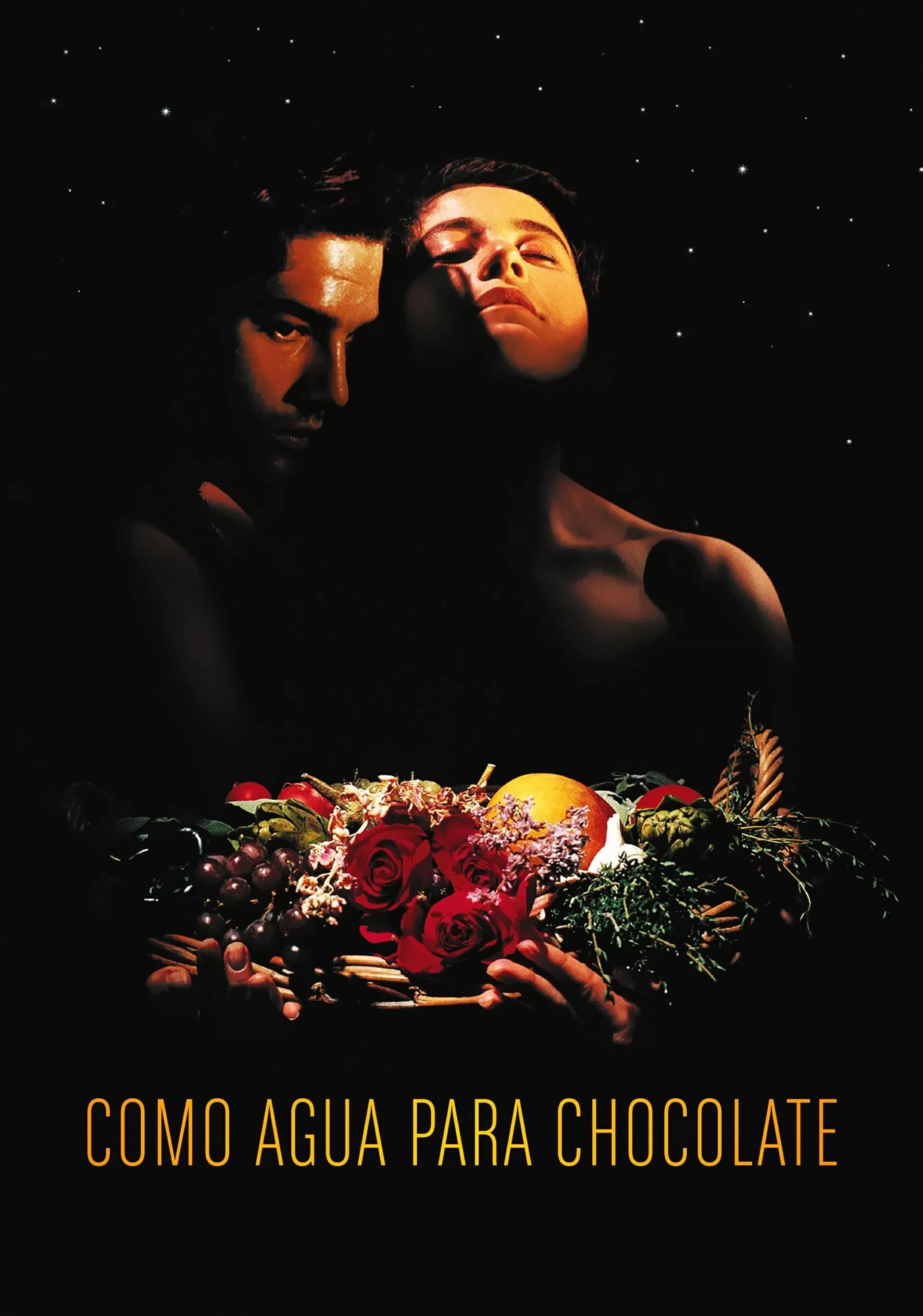 Как вода для шоколада / Como agua para chocolate (1992) отзывы. Рецензии. Новости кино. Актеры фильма Как вода для шоколада. Отзывы о фильме Как вода для шоколада