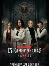 Превью постера #251823 к фильму "13 клиническая. Начало" (2024)