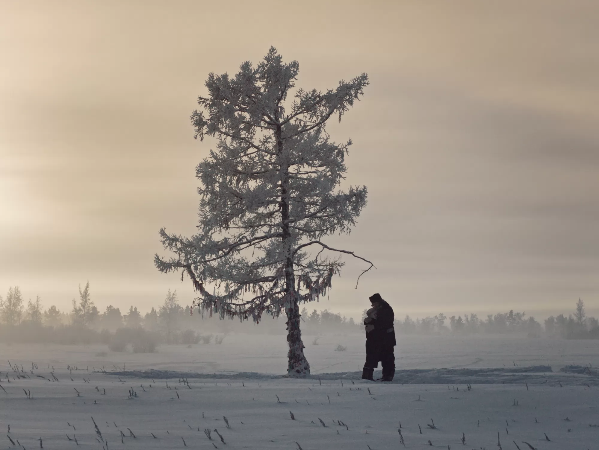 Фильм Белый пароход (2024). Кадр N247005