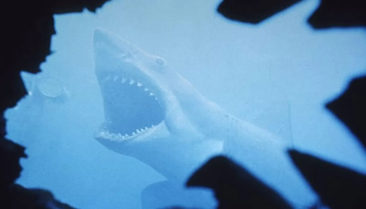 Стивен Кинг назавал свой Топ 10 любимых фильмов