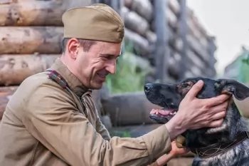 Начались съемки военной драмы "Солдат по кличке Рекс"