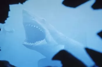 Стивен Кинг назавал свой Топ 10 любимых фильмов