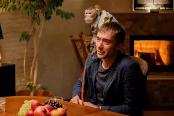 Началось производство второго сезона сериала "Майор и Меймун"