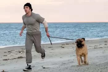 Представлен первый кадр из фильма "Рокки - это я"