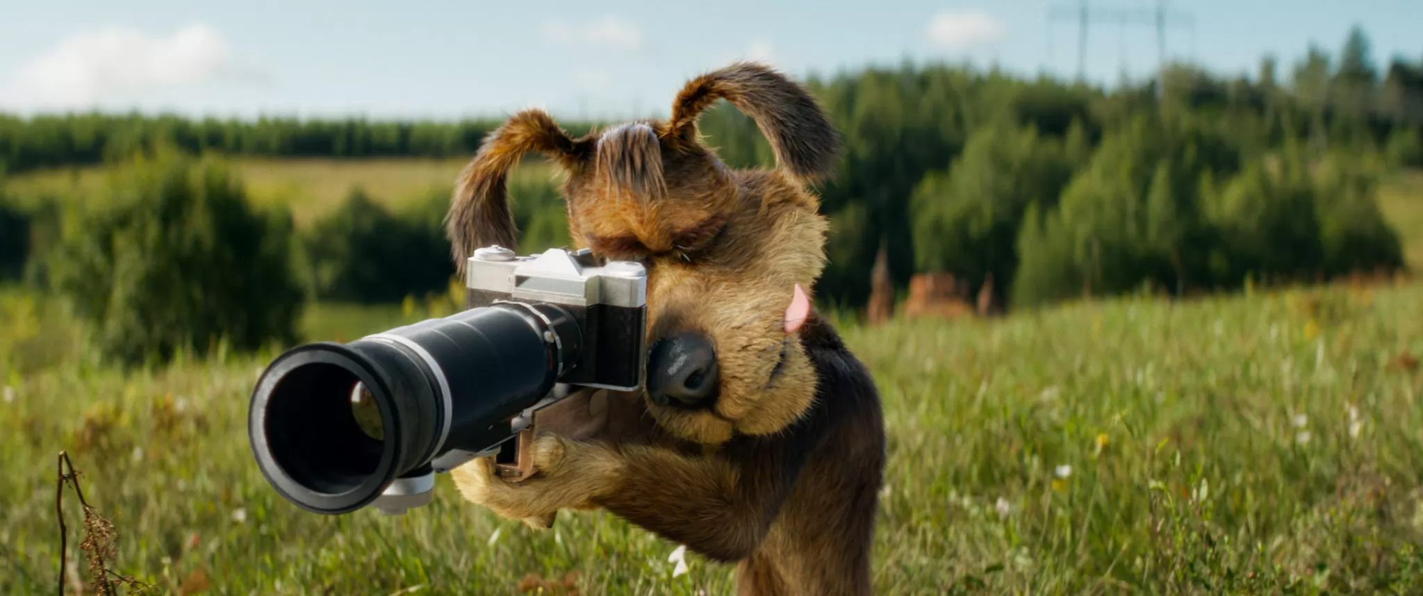 Фильм Простоквашино (2026). Кадр N258940