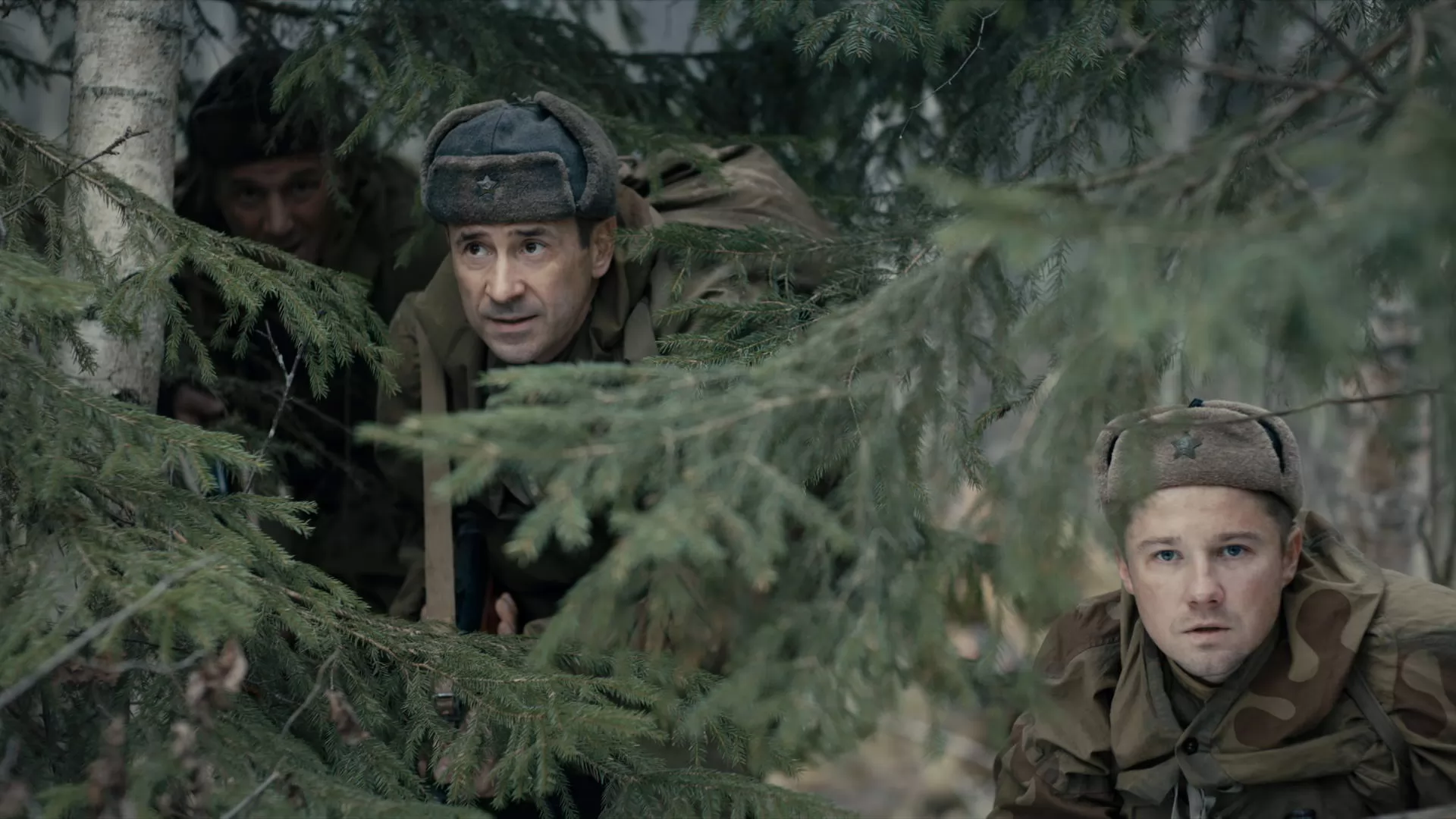 Сериал Укрощение