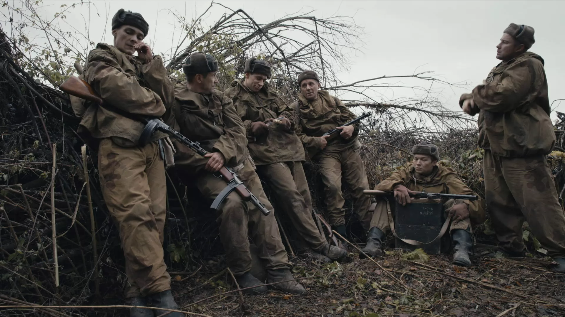 Сериал Укрощение