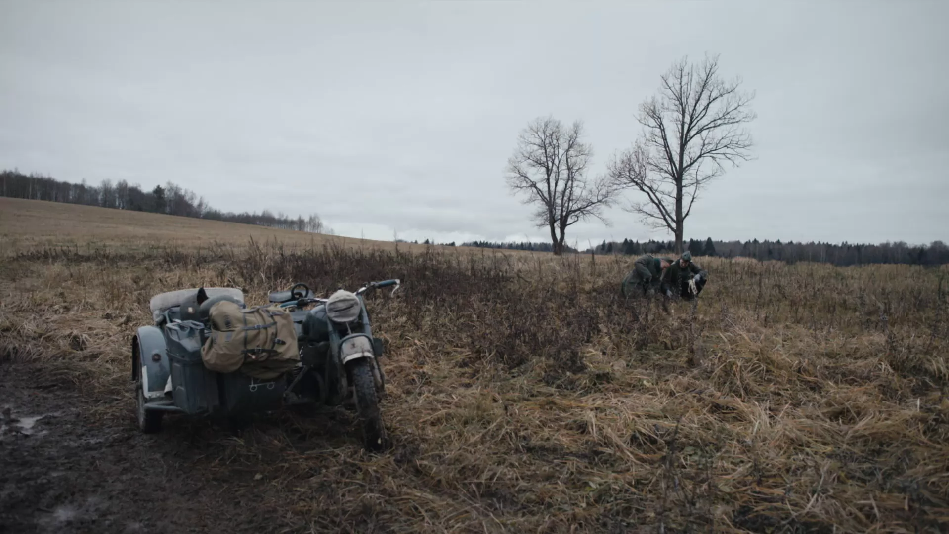 Сериал Укрощение