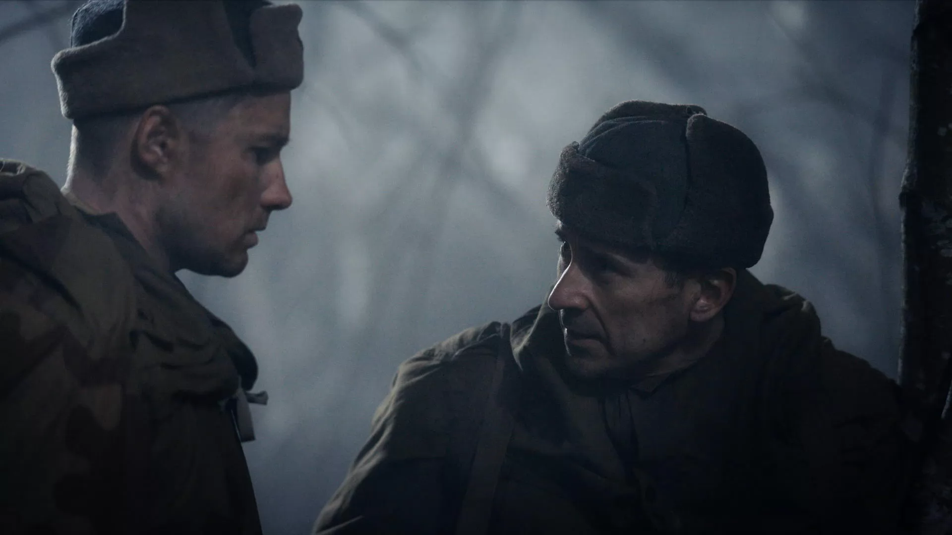 Сериал Укрощение