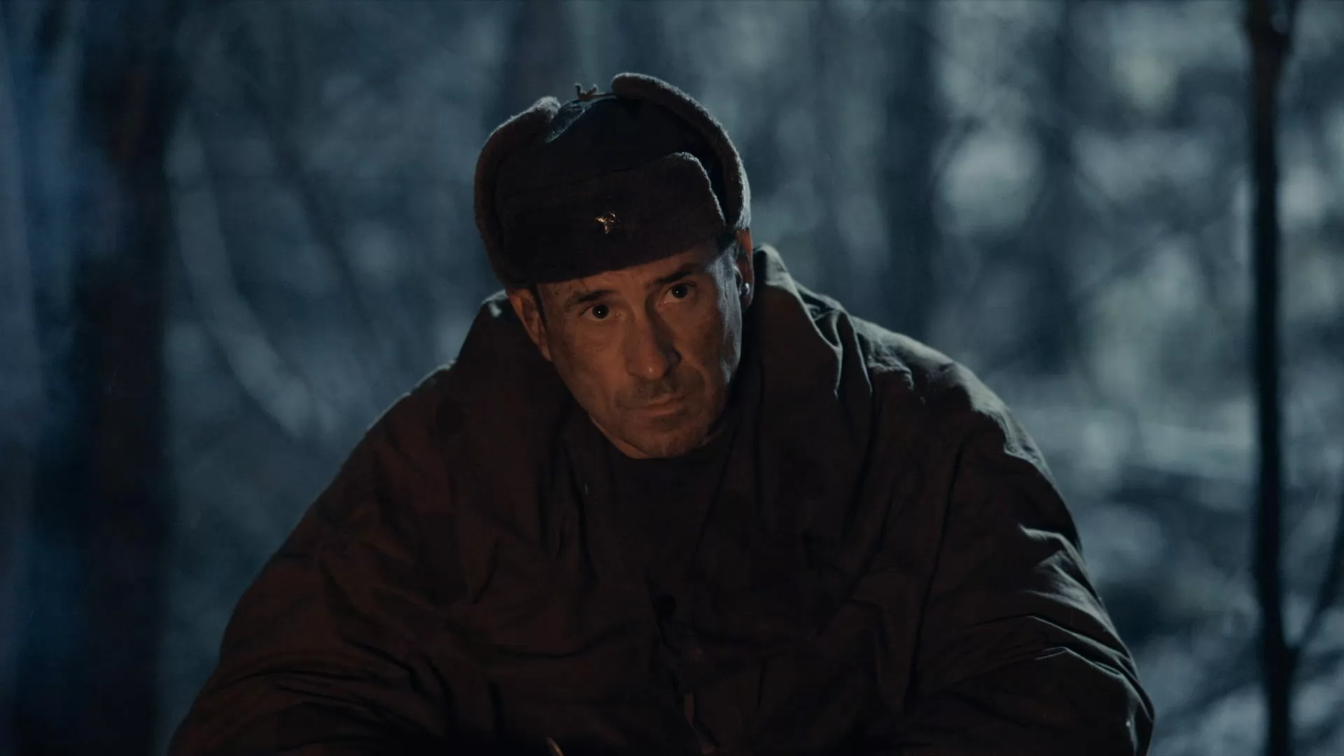 Сериал Укрощение