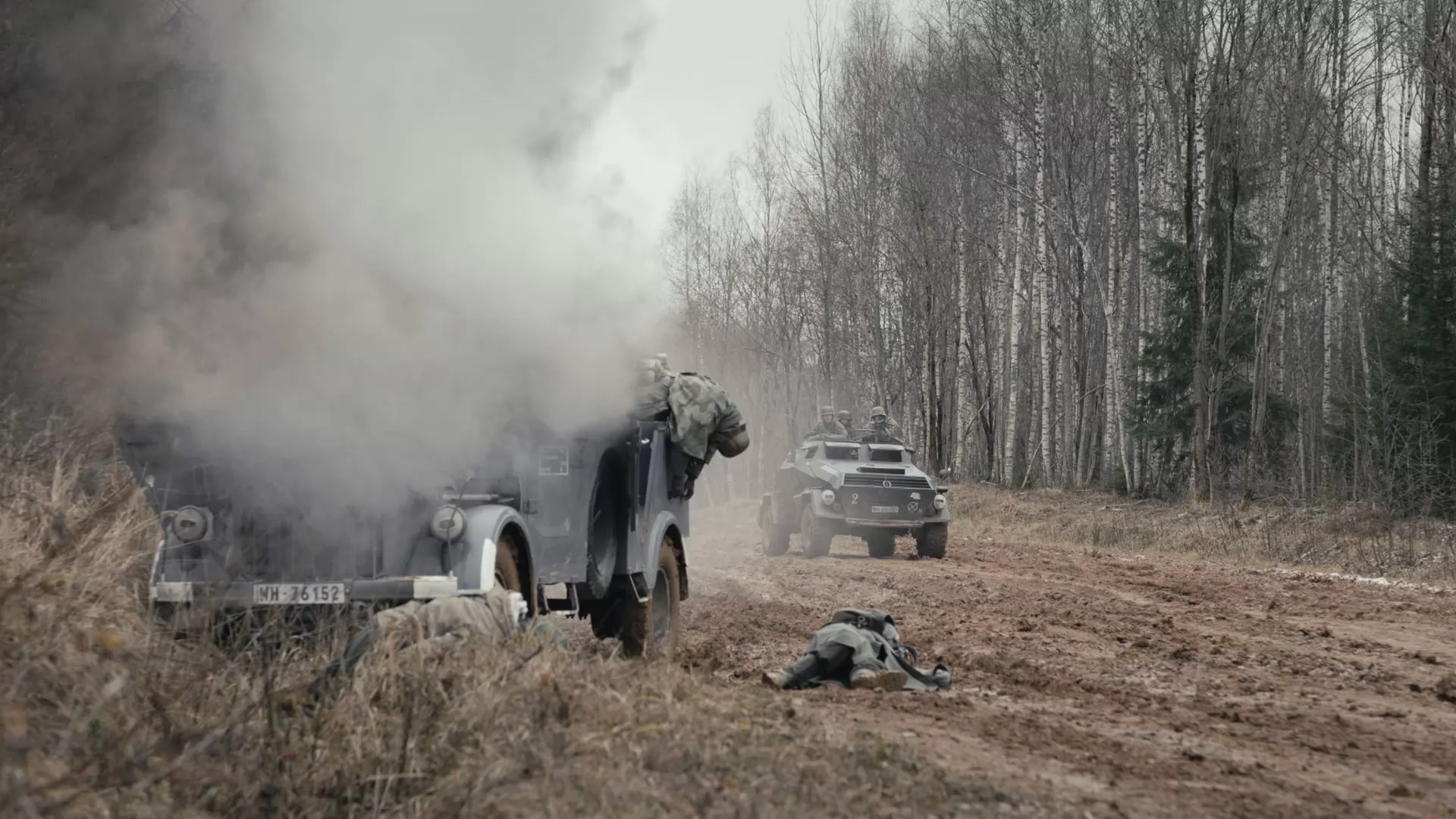 Сериал Укрощение