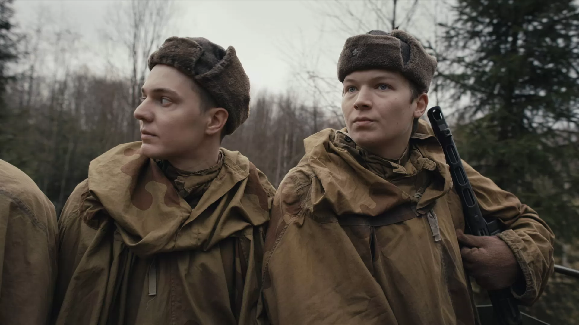 Сериал Укрощение