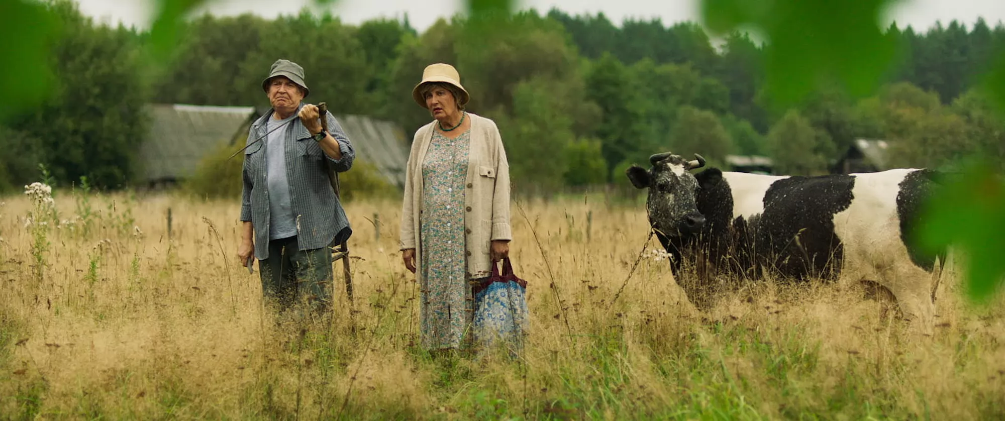 Фильм На деревню дедушке (2025). Кадр N260311