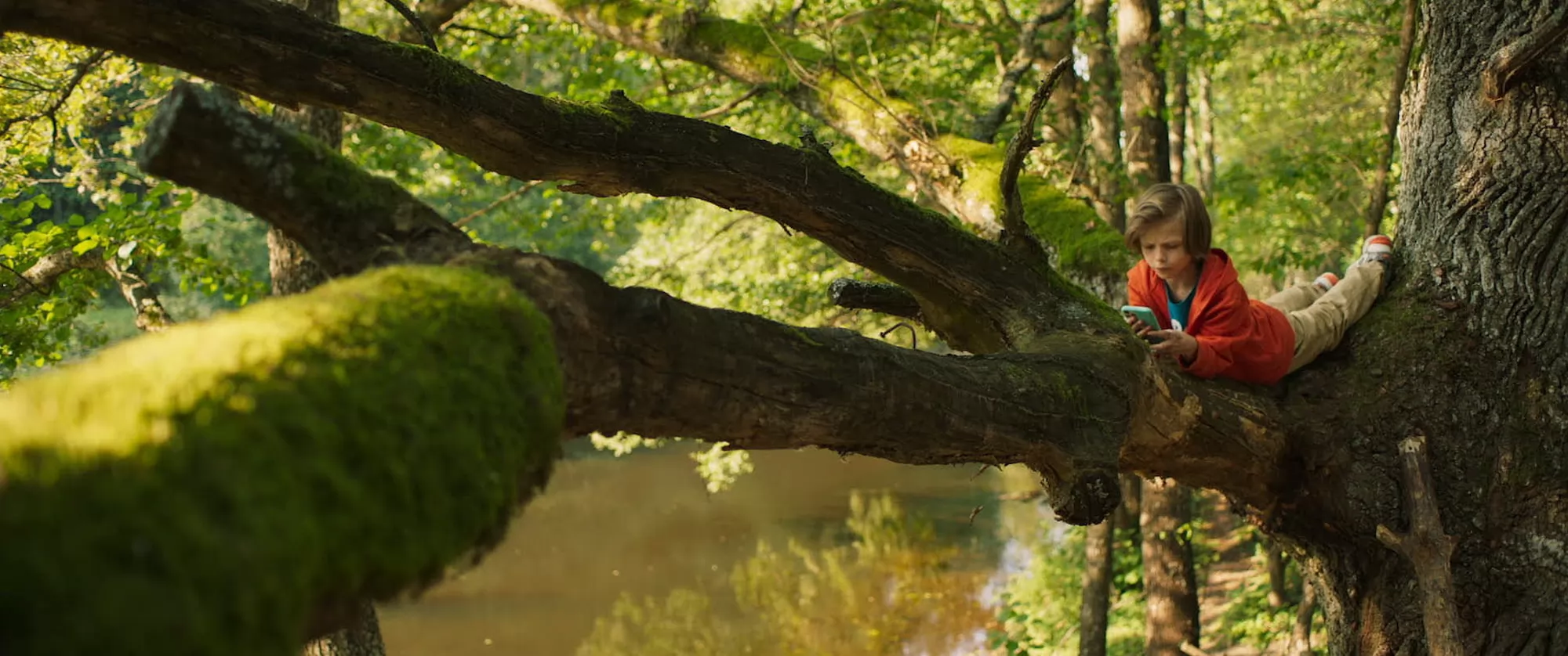 Фильм На деревню дедушке (2025). Кадр N260312