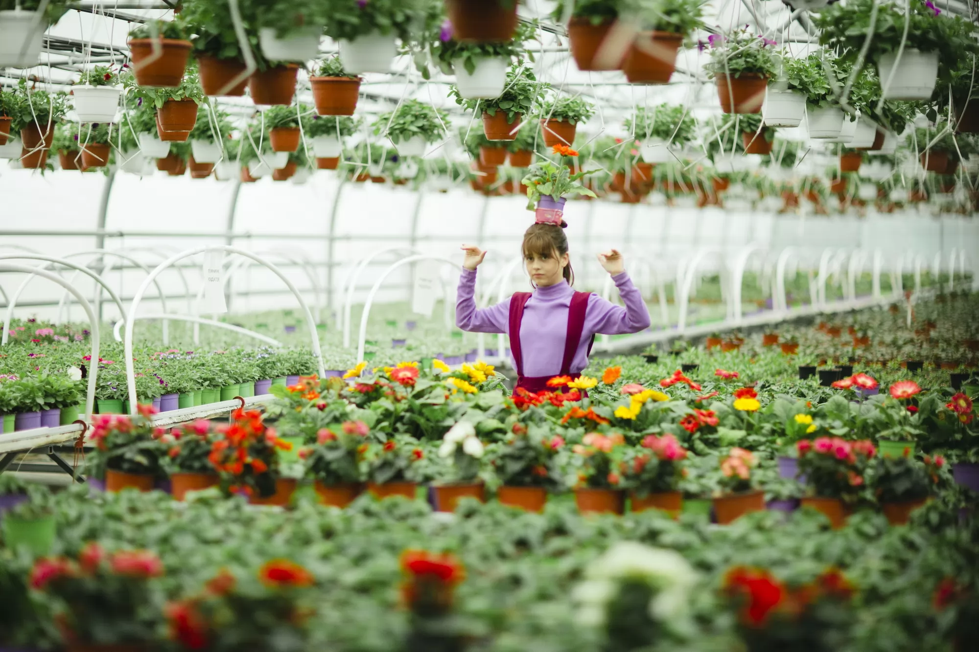 Сериал Любопытная Варвара (2024-2025). Кадр N264074