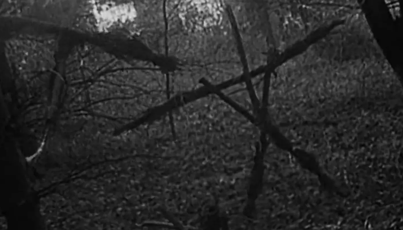 Назван режиссер новой версии фильма ужасов Ведьма из Блэр