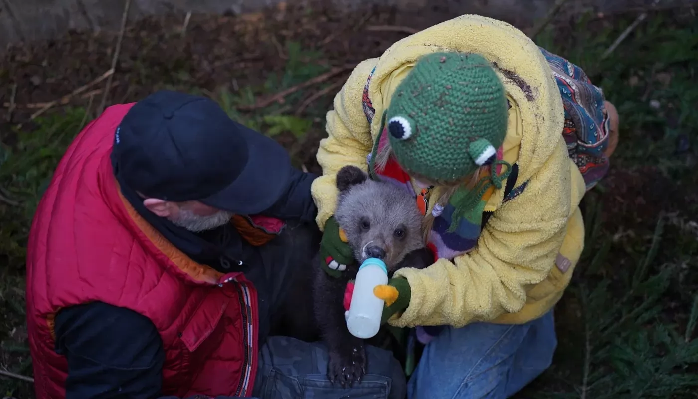 Начались съемки семейной комедии Мой папа - медведь 2