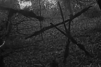 Назван режиссер новой версии фильма ужасов "Ведьма из Блэр"