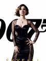 Постеры к фильму "007: Координаты "Скайфолл""