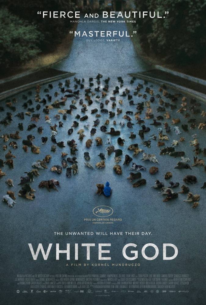 Белый Бог / Fehér Isten (2014) отзывы. Рецензии. Новости кино. Актеры фильма Белый Бог. Отзывы о фильме Белый Бог
