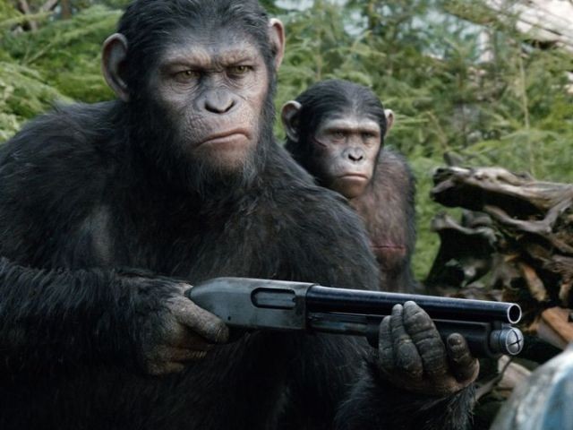 Планета обезьян: Революция: кадр N84070
