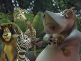Превью кадра #39236 из мультфильма "Мадагаскар"  (2005)